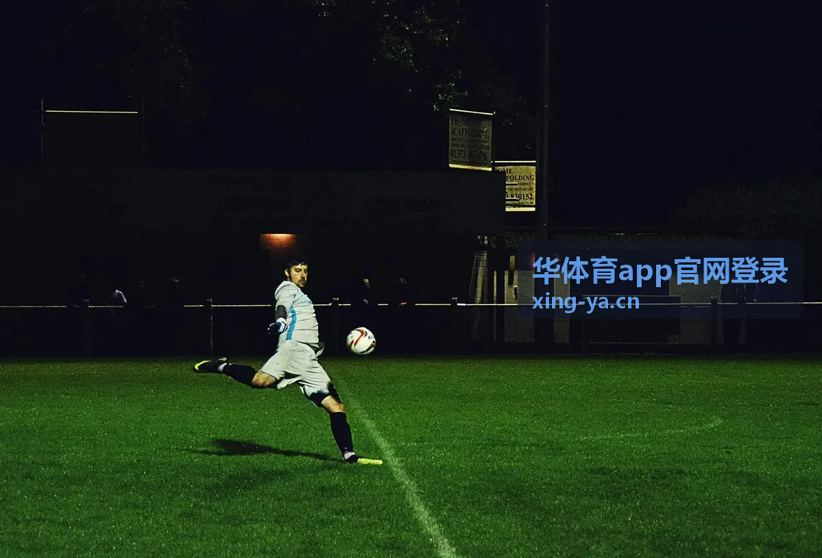 华体育app官网登录账号登录与验证流程示意